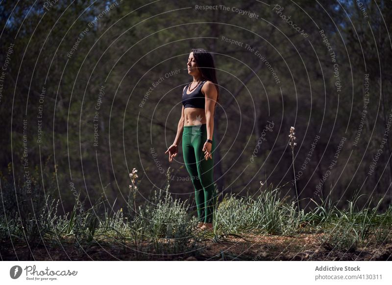Junge fitte Frau beim Aufwärmen vor dem Training im Sommerwald Wälder Athlet Dehnung sich[Akk] entspannen Sonnenlicht Gesundheit Fitness Wellness Übung