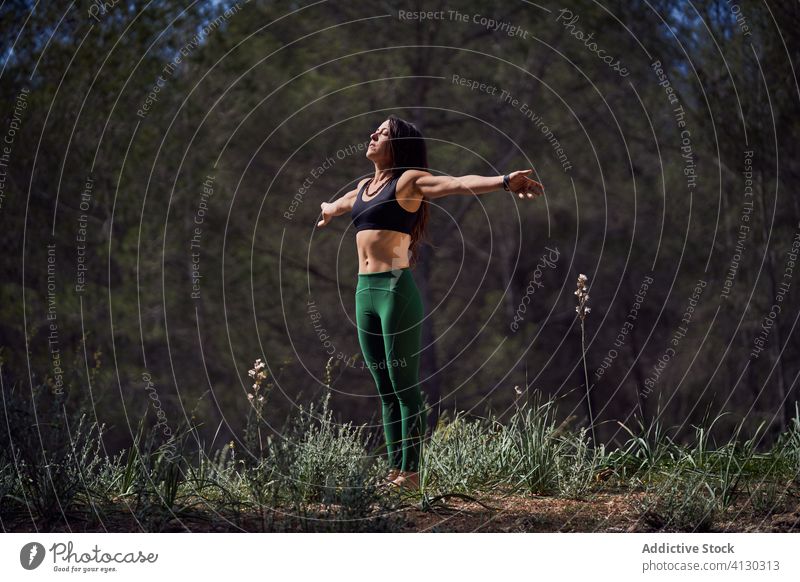 Junge fitte Frau beim Aufwärmen vor dem Training im Sommerwald Wälder Athlet Dehnung sich[Akk] entspannen Sonnenlicht Gesundheit Fitness Wellness Übung