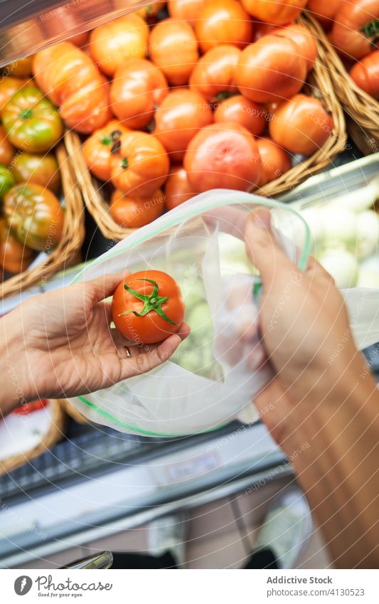 Weibliche Hand, die eine Tomate mit einem recycelbaren Beutel aufhebt Bestandteil Diät Ackerbau glänzend natürlich Nahaufnahme reif grün Natur organisch roh