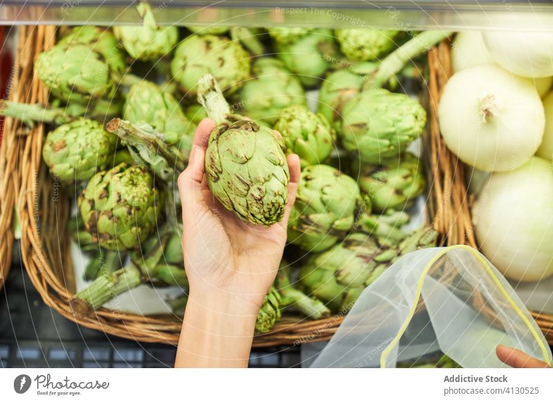 Weibliche Hand, die Artischocken aus einem Korb mit wiederverwendbarer Tasche aufhebt Lebensmittel grün reif frisch Gemüse Ernte roh organisch Pflanze stehen