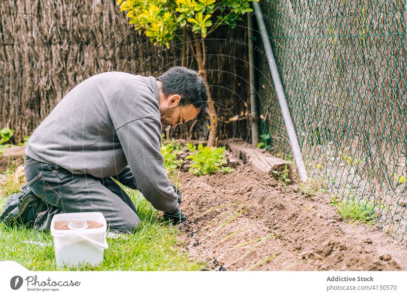 Gärtner hält grünes Gras mit Erde in der Hand Boden sprießen Pflanze kultivieren Ackerbau organisch Natur Botanik französisch Wachstum Aussaat Handschuh Pflege