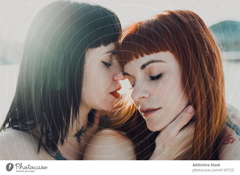 Zärtliches lesbisches Paar im sonnigen Winterfeld Frauen Liebe sinnlich Schnee berühren Verlockung lgbt Angebot Zusammensein Natur gleichgeschlechtlich Umarmen