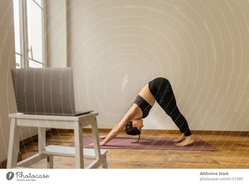 Ruhige Frau steht beim Yoga in abwärts gerichteter Hundehaltung Dehnung beweglich Gesunder Lebensstil heimwärts nach unten gerichteter Hund Laptop Tutorial