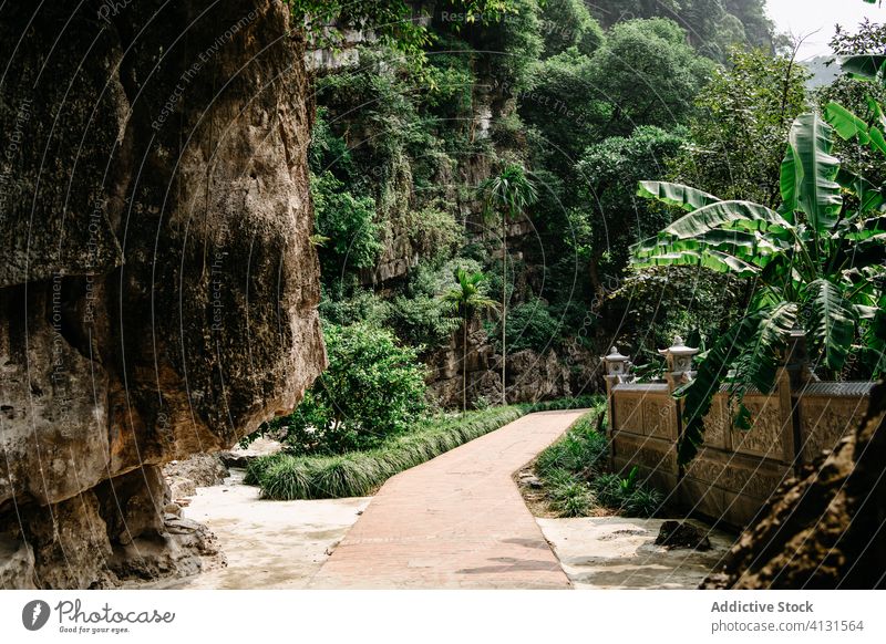 Malerischer Fußweg in der Nähe von Felsen und tropischen Bäumen Berge u. Gebirge malerisch Landschaft Laufsteg exotisch Garten sonnig Vietnam Asien erstaunlich