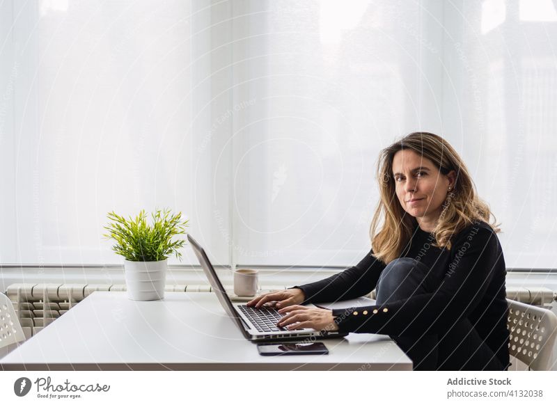 Entfernte Mitarbeiter, die zu Hause mit einem Laptop arbeiten Frau Arbeit heimwärts benutzend online abgelegen beschäftigt lässig Tisch elektronisch Internet