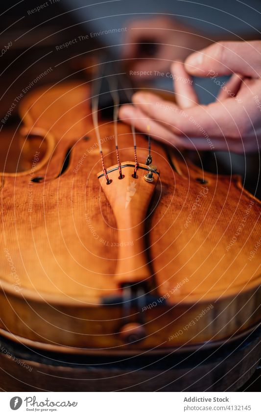 Handwerker beim Einstellen der Saiten einer handgefertigten Geige in der Werkstatt Schnur Kunstgewerbler ausrichten einstellen Klang Kunsthandwerker Person