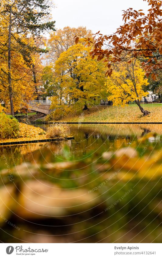 Niedriger Winkel vertikale Schuss auf Kanalwasser, Brücke und auf rote Eiche und gelbe Ahornbäume während Herbst Tag auf Bastion Hill Park, Riga, Lettland. Herbst in der Nähe des Kanals. Laub im Park in der Nähe von kurvigen Bach.