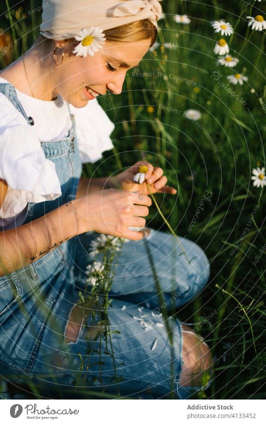 Ruhiges Weibchen ruht sich im Frühling auf grüner Wiese aus Frau Kamille Feld ländlich pflücken abholen riechen Windstille genießen Blumenstrauß frisch Natur