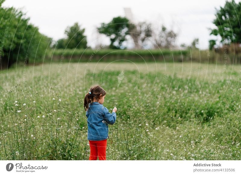 Bezauberndes Mädchen pflückt Blumen auf einer Wiese pflücken Feld Kind Wochenende genießen neugierig Natur bezaubernd erkunden ruhig Freiheit ruhen Landschaft
