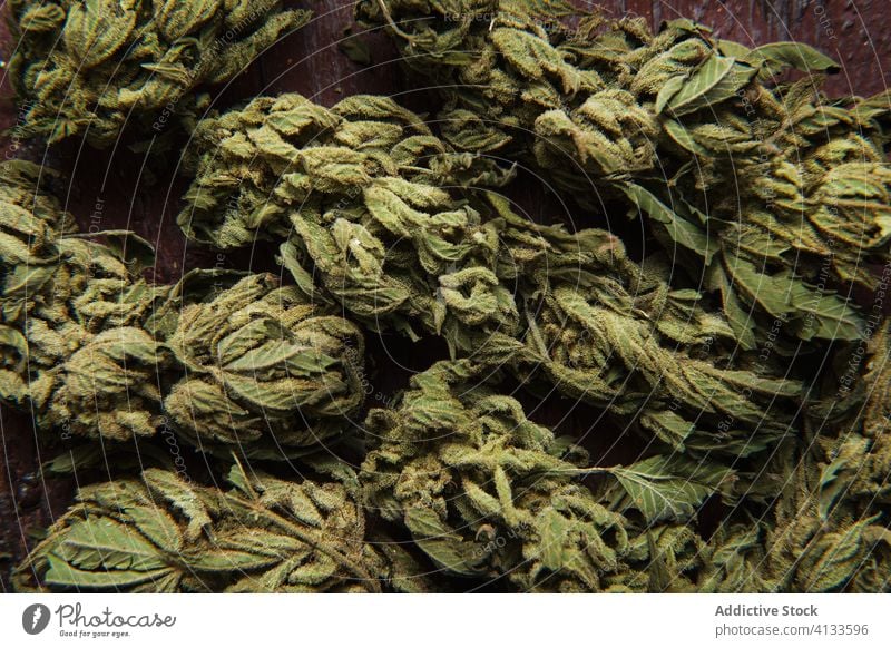Getrocknete Cannabis-Knospen auf Holztisch Marihuana Unkraut getrocknet Blütenknospen Haufen medizinisch Medikament hoch Erholung Dope organisch natürlich