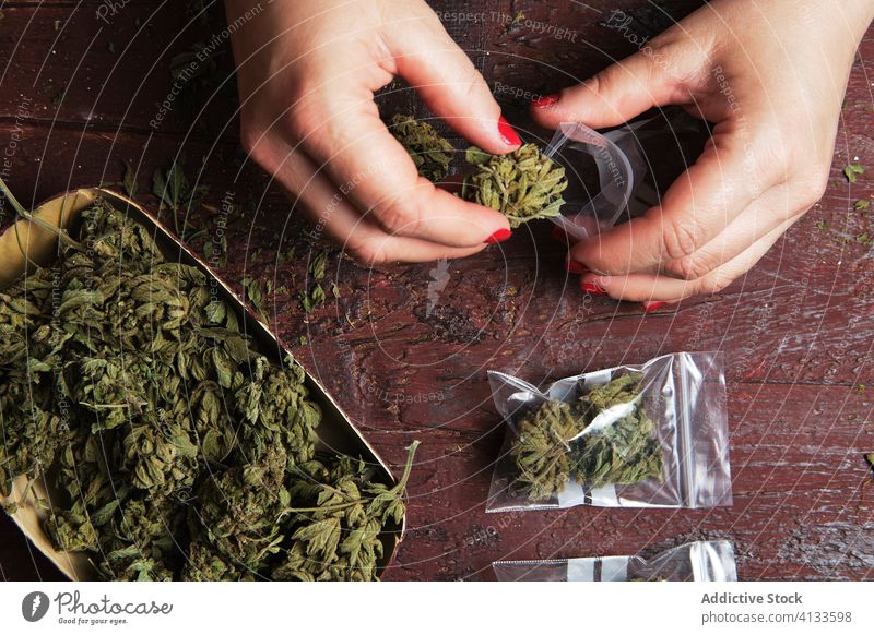 Unbekannte Raucherin, die Plastikbeutel mit Marihuana herstellt Cannabis Kunststoffbeutel Tasche Schleifmaschine vorbereiten Gelenk Frau rollen Grinden