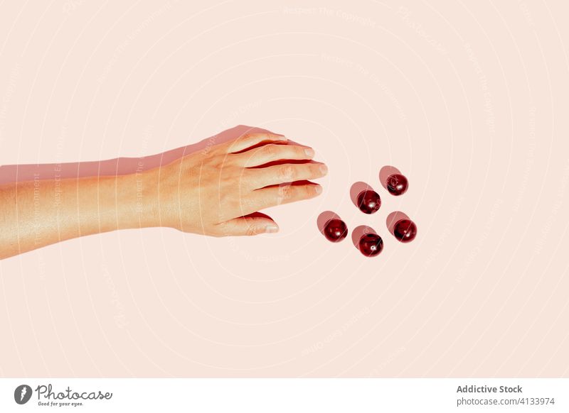 Erntehelfer Hand mit Trauben im Atelier Frucht Person gesunde Ernährung reif Vitamin lecker Lebensmittel frisch geschmackvoll organisch süß Gesundheit natürlich