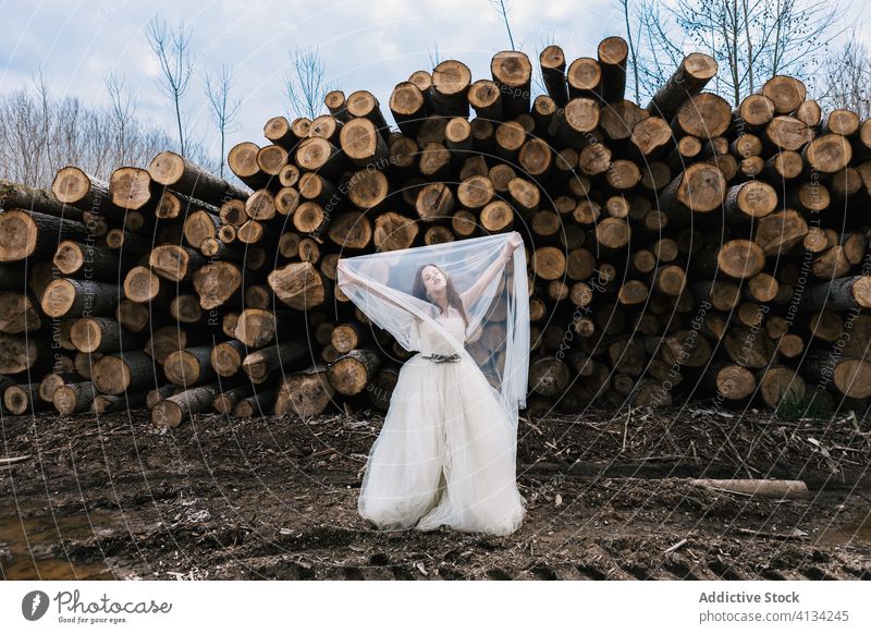 Ruhige Braut, die ihr Gesicht mit einem Schleier bedeckt, in der Nähe eines Holzstapels Imkerschleier Deckblatt Jungvermählter Hochzeit Totholz Stapel