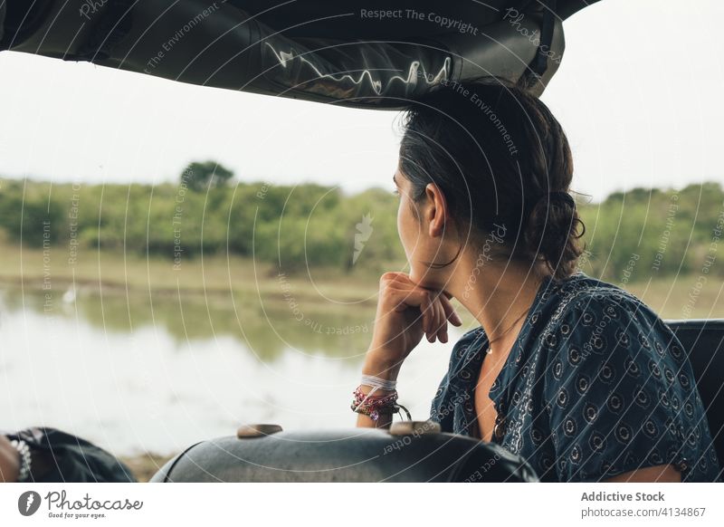 Frau im Auto während einer Safarireise Park reisen Tierwelt PKW bewundern Reisender Landschaft wunderbar Automobil Freiheit Sommer Urlaub sitzen Natur Fahrzeug