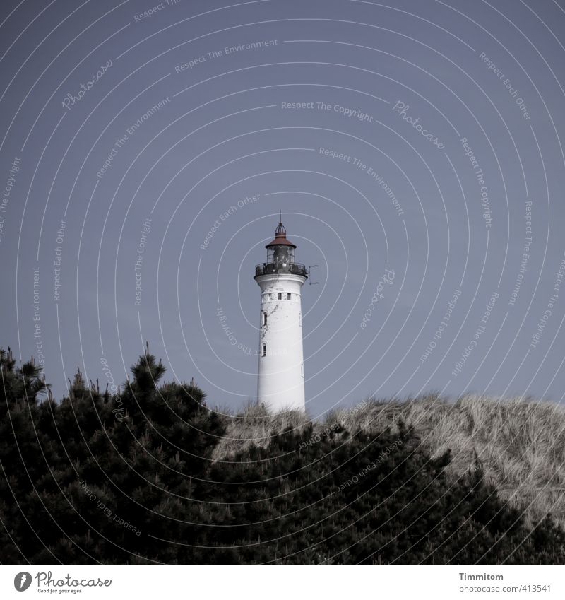 Lyngvig Fyr. Ferien & Urlaub & Reisen Umwelt Natur Himmel Pflanze Dänemark Menschenleer Leuchtturm stehen Coolness einfach blau schwarz weiß Turmspitze Düne
