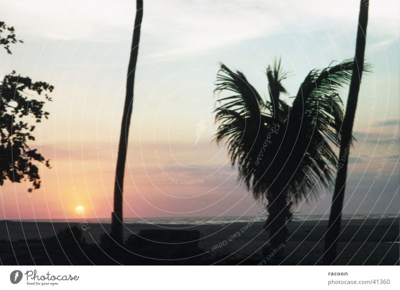 Nicaragua Strand Sonnenuntergang Palme Natur
