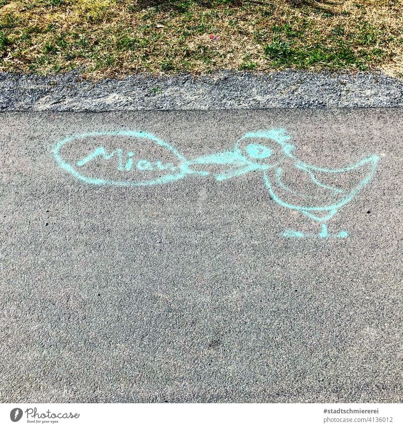 Ente, die miaut Kreide Straßenkunst Zeichnung Kreidezeichnung Asphalt zeichnen Außenaufnahme Farbfoto Freizeit & Hobby Strassenmalerei Menschenleer Katze