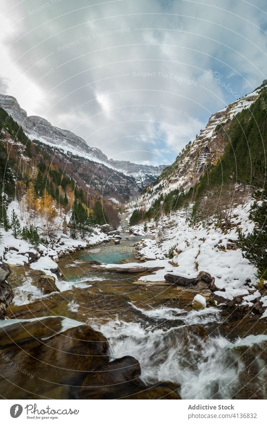 Schneller Fluss, der durch ein Bergtal fließt Berge u. Gebirge Wald Herbst Landschaft felsig wild strömen schnell Gelände wolkig kalt Natur trist Wasser