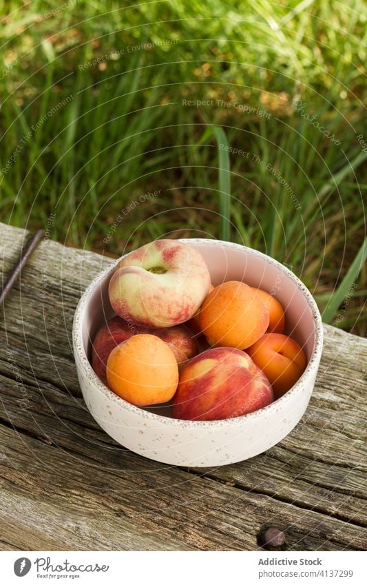 Schale mit frischen Früchten auf dem Land Frucht reif rustikal Landschaft Aprikose Pfirsich Schalen & Schüsseln lecker natürlich geschmackvoll Keramik hölzern
