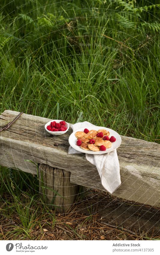 Leckere Pfannkuchen mit Früchten und Beeren Frühstück lecker Morgen Landschaft Frucht frisch Lebensmittel geschmackvoll hölzern Bank Teller Gesundheit