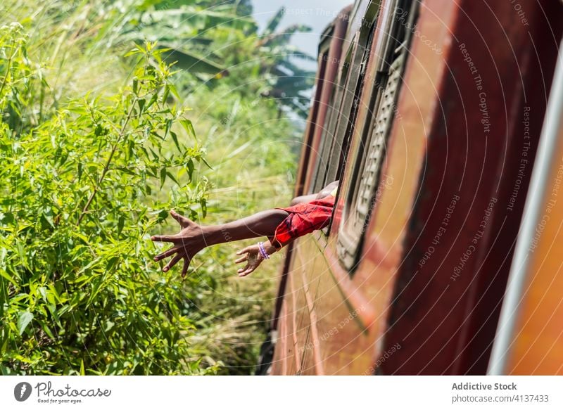 Ethnische Menschen im Zug pflanzen Fenster Freiheit sorgenfrei Mitfahrgelegenheit Verkehr Kind Erwachsener sonnig ethnisch kandi Sri Lanka Pflanze berühren grün