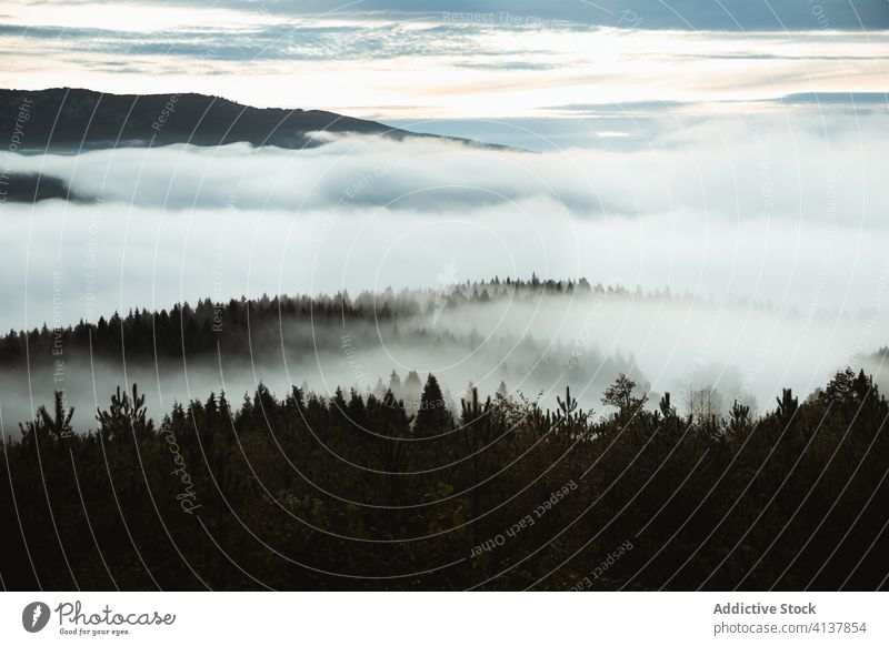 Nebliges Tal mit Bergen im Sonnenaufgang Berge u. Gebirge Nebel Morgen Landschaft Ambitus Umwelt Hochland Gelände wild Gelassenheit zeanuri Baskenland Spanien