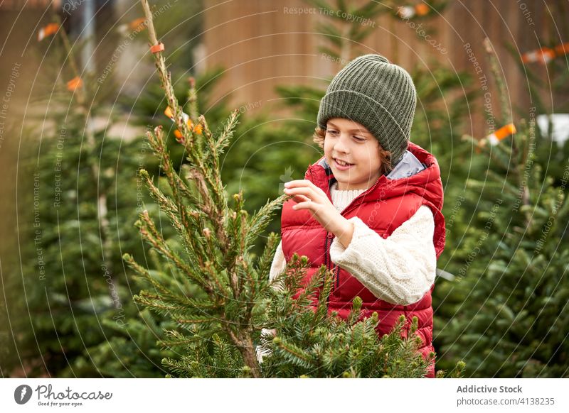 Schöner blonder Junge mit grüner Wollmütze, roter Weste, weißem Pullover, blauer Hose und gelben Stiefeln wählt seinen Weihnachtsbaum frisch Nahaufnahme Jungen
