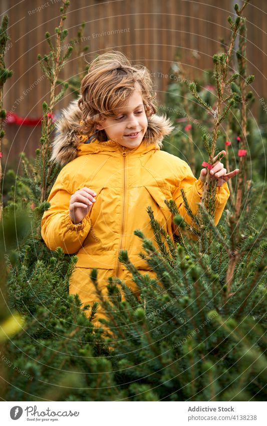 Schöner blonder Junge mit gelber Jacke kauft seinen Weihnachtsbaum Lächeln finden außerhalb Kiefer verschneite Jungen Kindheit laufen saisonbedingt Brüder jung
