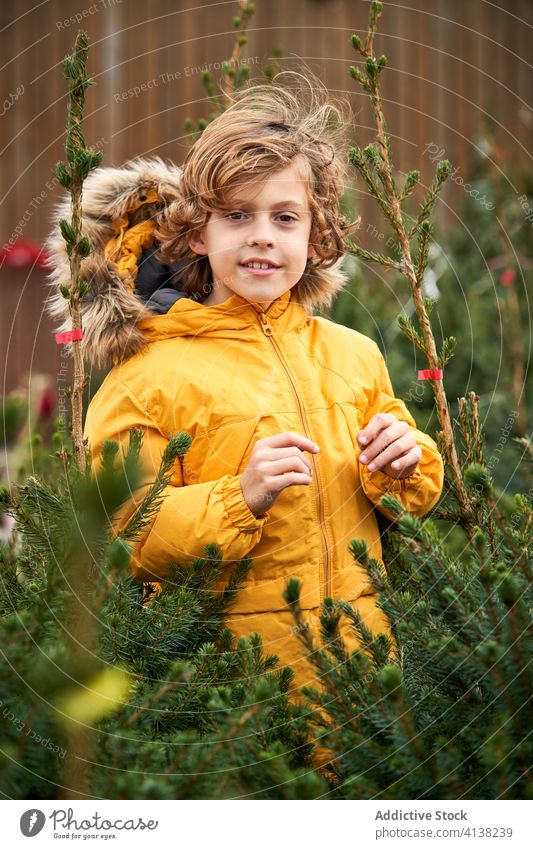 Schöner blonder Junge mit gelber Jacke kauft seinen Weihnachtsbaum Lächeln finden außerhalb Kiefer verschneite Jungen Kindheit laufen saisonbedingt Brüder jung