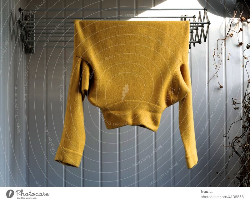 Überraschung! Ein gelber Pullover wird gelüftet. Damenpullover Balkon Mode Wand Pflanze Wolle Bekleidung Winter Wäschetrockner Wollpullover