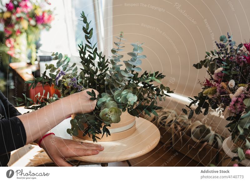 Florist kreiert Komposition mit Sukkulenten Floristik Frau komponieren einrichten Pflanze Topf Arbeit Dekor dekorativ Blumenhändler professionell Keramik Beruf