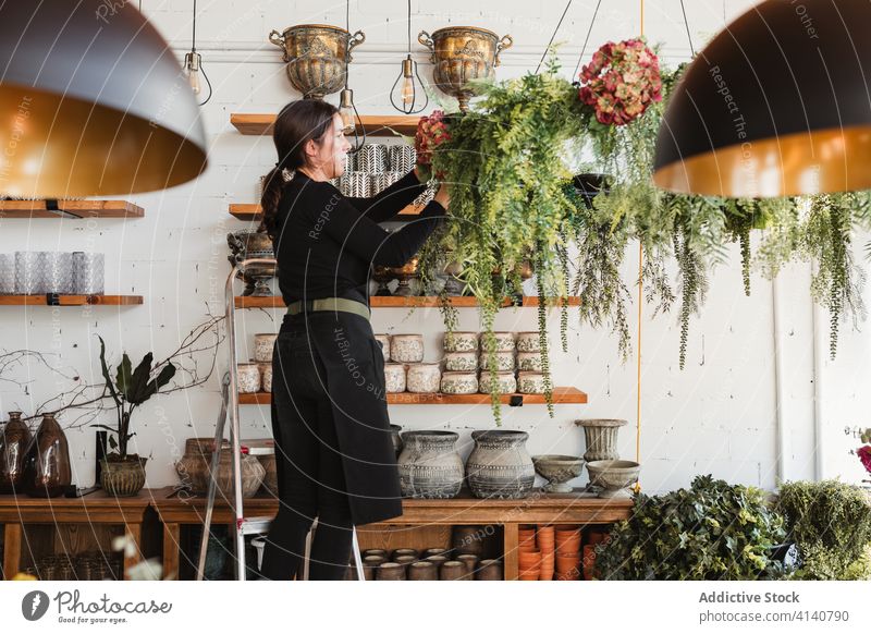 Frau arrangiert grüne Hängepflanzen im Salon Floristik einrichten Pflanze hängen Designer dekorativ kreativ Kriechpflanzen Arbeit Laufmasche Beruf professionell