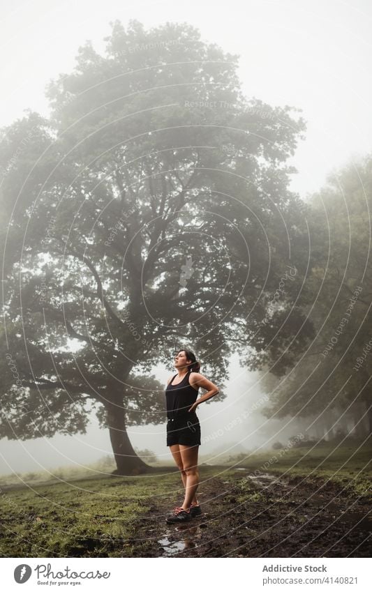 Fitnesssportlerin wärmt sich beim Training im Wald auf Aufwärmen Sportlerin Übung Wälder Morgen Nebel Sportkleidung Frau dreckig Weg Gesundheit Ausdauer Athlet