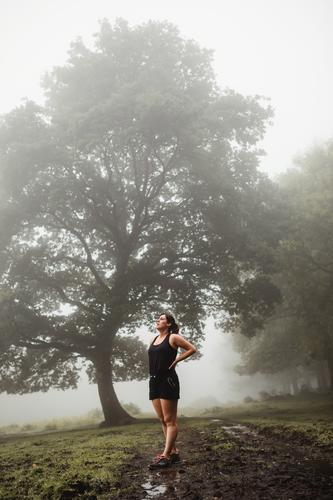 Fitnesssportlerin wärmt sich beim Training im Wald auf Aufwärmen Sportlerin Übung Wälder Morgen Nebel Sportkleidung Frau dreckig Weg Gesundheit Ausdauer Athlet
