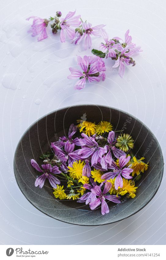 Gelbe und lilafarbene Blumen in Schalen auf dem Tisch Malve Blüte Blütenknospen Blütezeit natürlich violett gelb kreativ romantisch Angebot Wasser