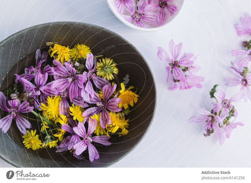Gelbe und lilafarbene Blumen in Schalen auf dem Tisch Malve Blüte Blütenknospen Blütezeit natürlich violett gelb kreativ romantisch Angebot Wasser