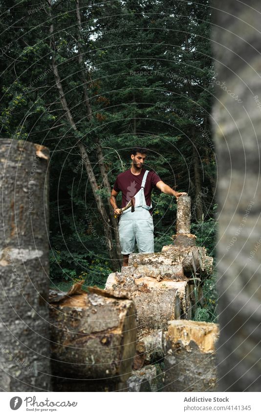 Mann beim Holzspalten im grünen Wald Split geschnitten Land reisen New Brunswick Kanada Grün Waldarbeiter Brennstoff Wälder üppig (Wuchs) Natur Werkzeug Axt