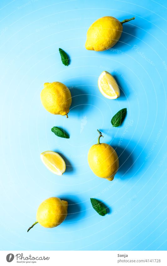 Zitronen und Pfefferminze auf einem blauen Hintergrund. Flat lay. pfefferminz gelb reif Blauer Hintergrund sauer Zitrusfrüchte saftig Vitamin tropisch natürlich