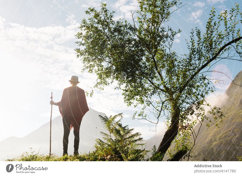 Reisender mit Holzstock im Hochland Berge u. Gebirge Morgen genießen Sonnenaufgang Wanderer Fernweh hölzern Personal Landschaft Freiheit friedlich idyllisch