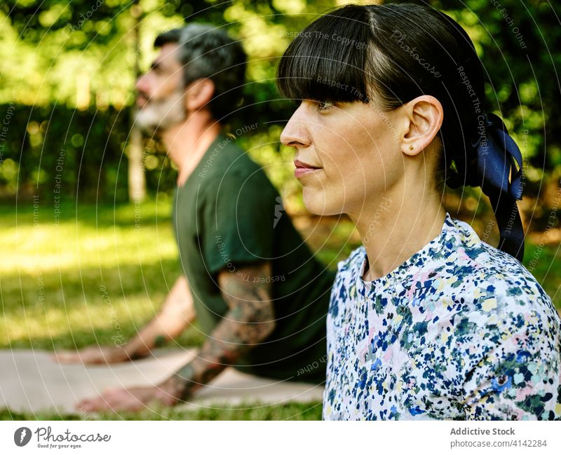 Paar macht Yoga in Cobra-Pose im Park Kobra-Pose Zusammensein ruhig beweglich sich[Akk] entspannen Partnerschaft grün Harmonie Sommer Wellness Natur Liebe