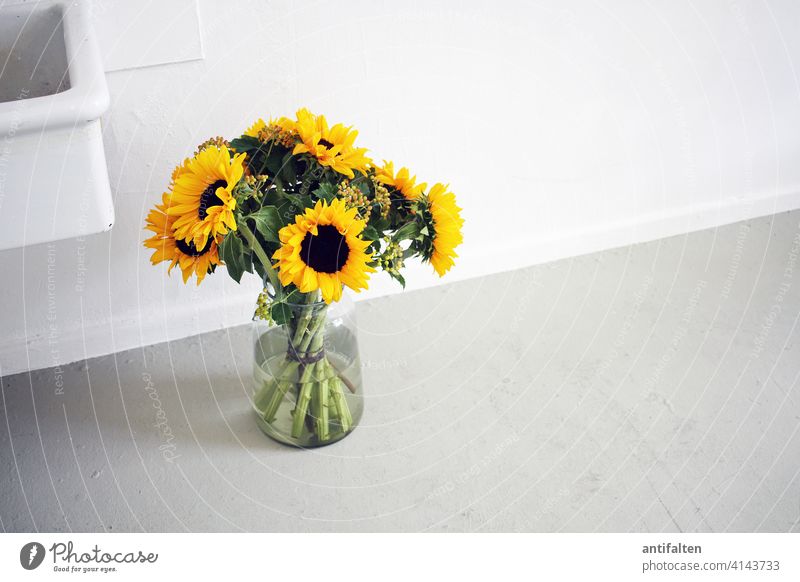 Still-Leben Blumenstrauß Vase Glas Sonnenblume Farbfoto Blüte Innenaufnahme Dekoration & Verzierung Blühend Frühling Natur Sommer grün Tag Blatt Atelier