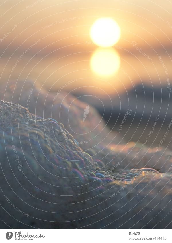 Aphrodites Ursprung Wasser Sonne Sonnenaufgang Sonnenuntergang Sonnenlicht Sommer Schönes Wetter Wärme Wellen Küste Nordsee Dänemark Jütland Sand Schaum