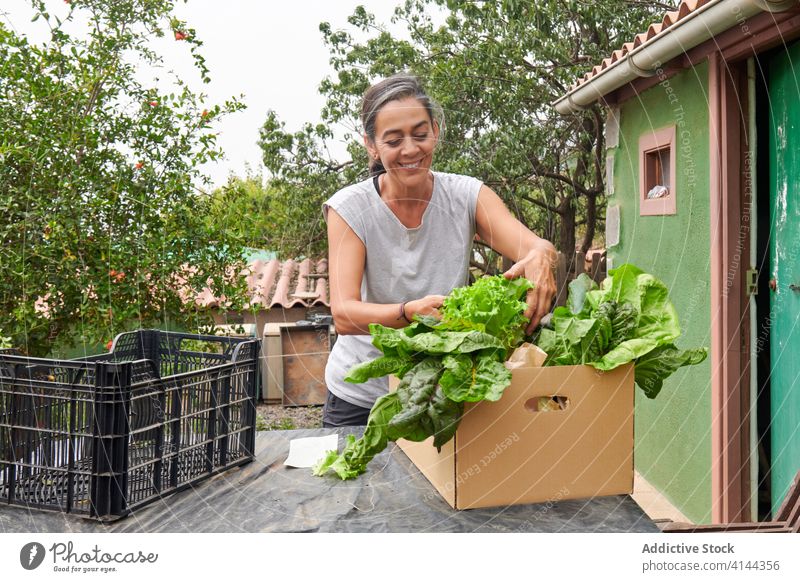 Lächelnde Gärtnerin mit frischem Gemüse Ernte Landwirt Frau reif verschiedene Kasten Landschaft Senior natürlich Bauernhof Ackerbau organisch grün Tisch
