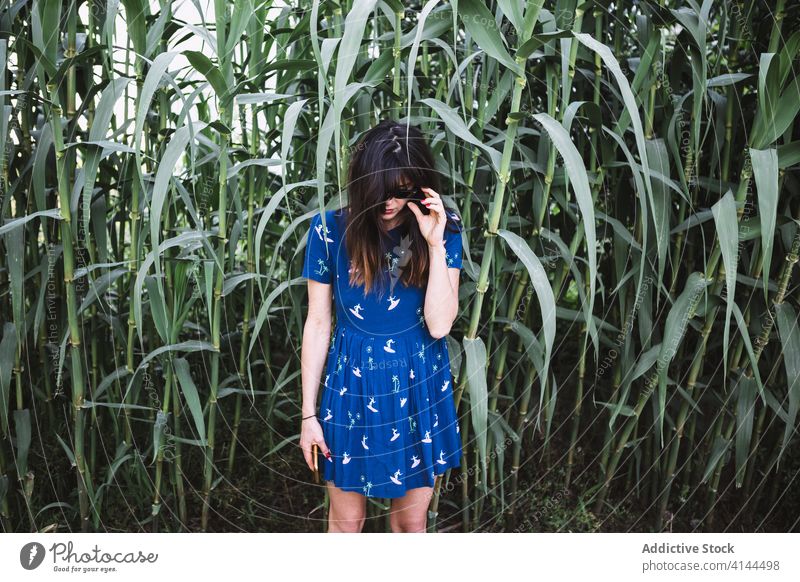 Frau im Zuckerrohrfeld Feld Sommer grün Landschaft Natur sich[Akk] entspannen Wochenende frisch blau Kleid stehen Grün tagsüber Windstille friedlich Harmonie