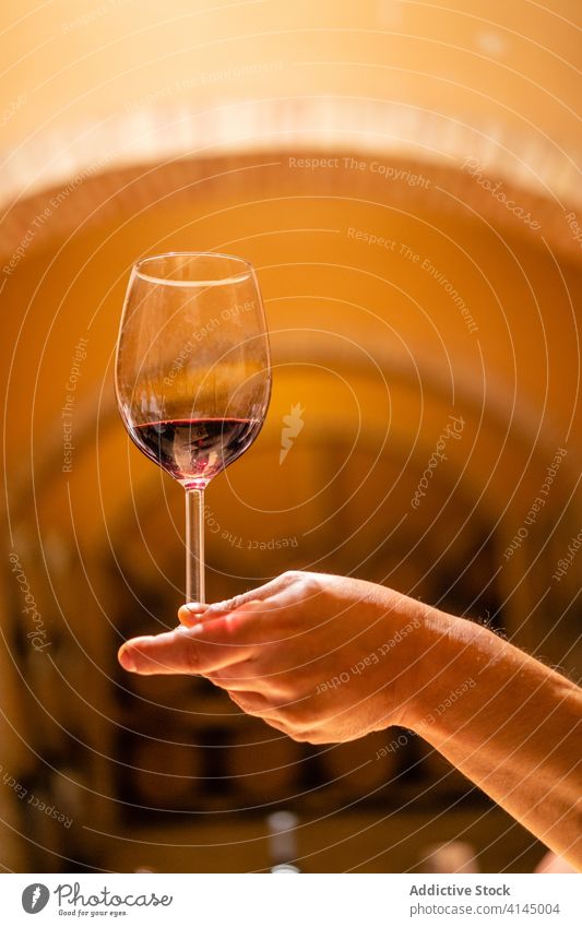 Crop gesichtslose Person mit Glas Rotwein in Weinberg manifestieren Weingut trinken duftig grapery Weinglas gemütlich Kleinunternehmen modern lecker Flasche
