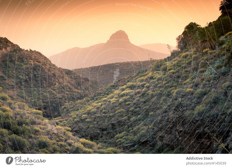 Erstaunlich grünes Tal in bergigem Terrain atemberaubend Landschaft Berge u. Gebirge Wald Sonnenuntergang Natur malerisch Abend orange Gran Canaria Spanien