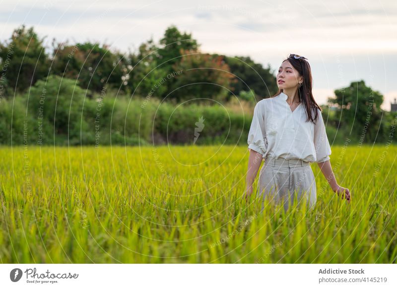Asiatische Frau im grünen Feld im Sommer Reis üppig (Wuchs) genießen Wochenende Natur Gelassenheit ruhen ethnisch asiatisch ruhig sich[Akk] entspannen
