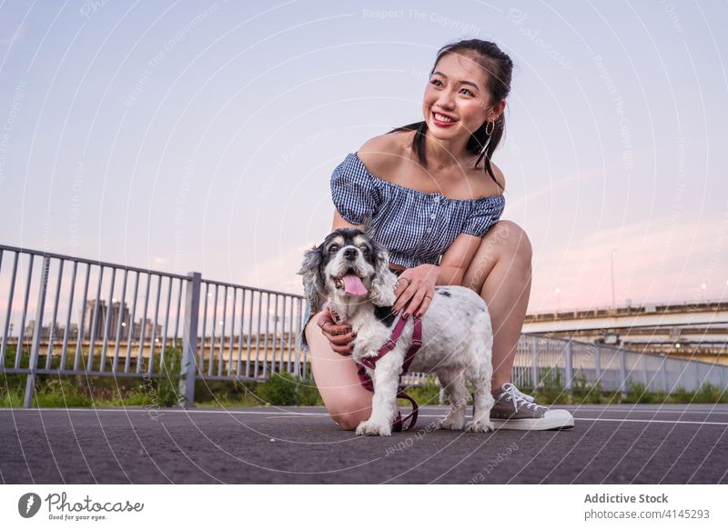 Asiatische Frau knuddelt Rassehund auf der Straße Hund amerikanischer Cockerspaniel Kniebeuge Reinrassig anleinen Haustier PKW Großstadt Asphalt parken Los