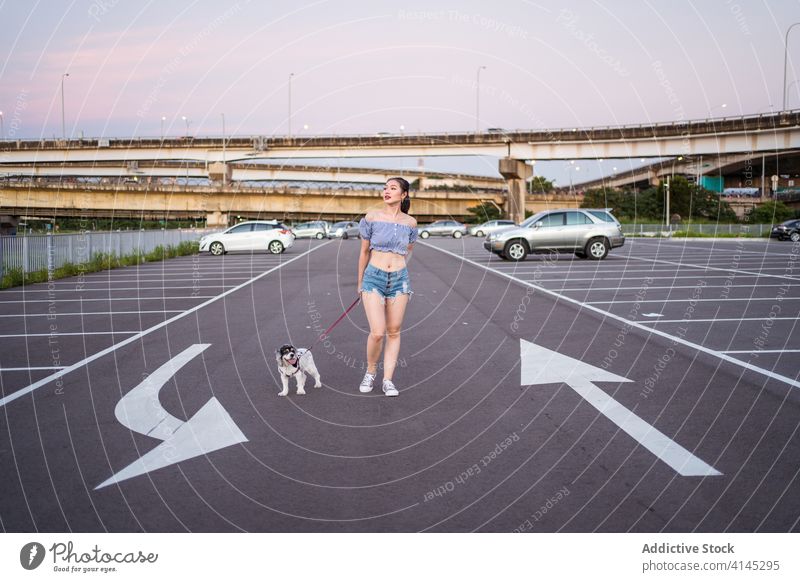 Verträumte asiatische Frau spaziert mit Rassehund auf der Straße schlendern Hund amerikanischer Cockerspaniel Reinrassig anleinen Haustier PKW Großstadt Asphalt