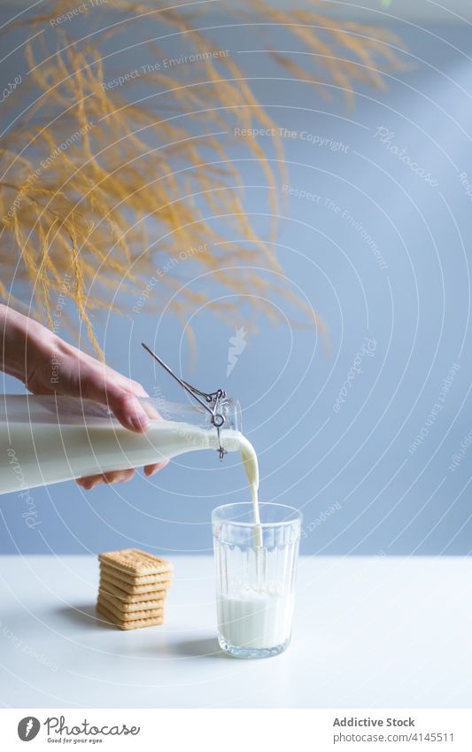 Gesichtslose Person gießt Milch in ein Glas bei Keksen zu Hause eingießen melken Flasche Biskuit Gesundheit Molkerei Protein Ast Produkt durchsichtig frisch